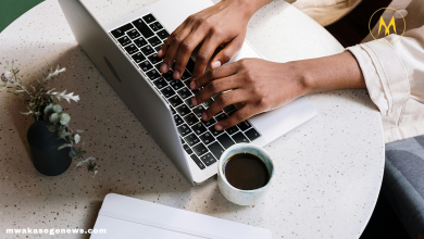 How to Start an Online Business for Free?