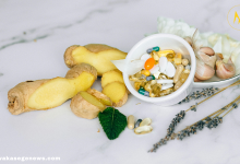 A flat lay of top 10 gut-friendly superfoods like kefir, kimchi, and garlic.