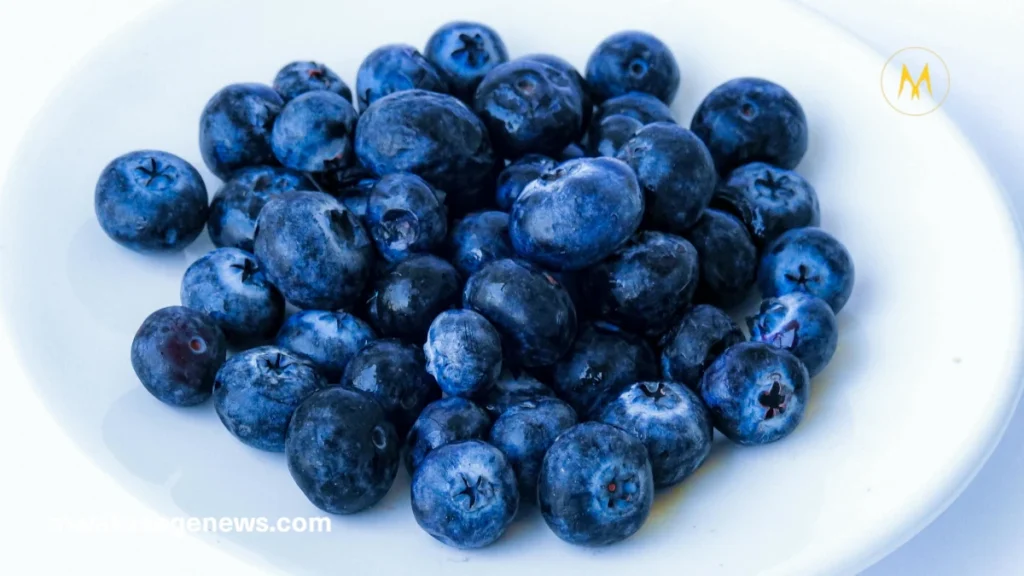 Fresh blueberries in a bowl – full of antioxidants and nutrients