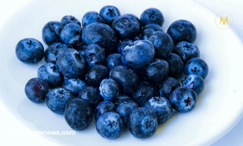 Fresh blueberries in a bowl – full of antioxidants and nutrients