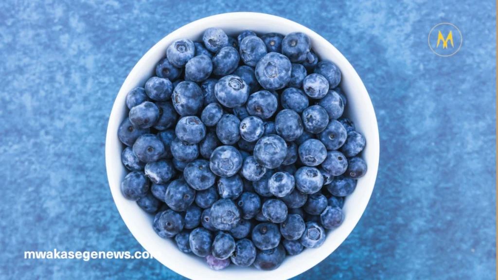 Fresh blueberries rich in antioxidants