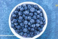 Fresh blueberries rich in antioxidants