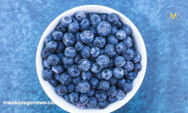 Fresh blueberries rich in antioxidants