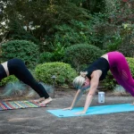 Healthy lifestyle habits including nutrition, exercise, and mindfulness.