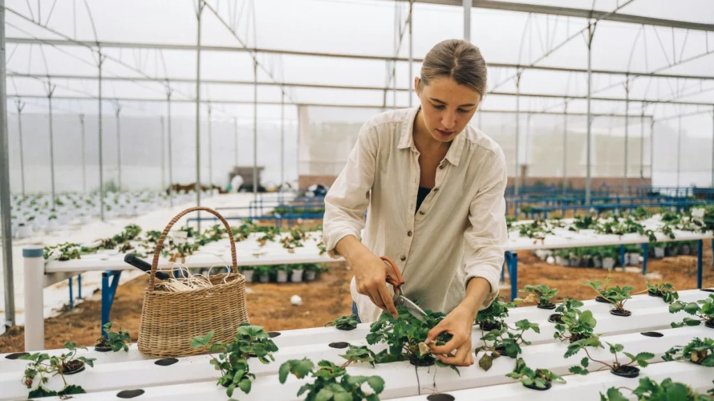 Sustainable business strategy with eco-friendly innovation