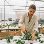 Sustainable business strategy with eco-friendly innovation