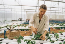 Sustainable business strategy with eco-friendly innovation