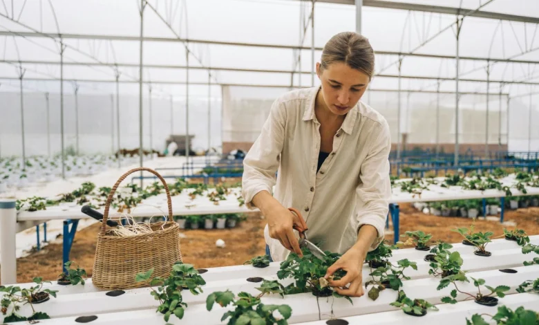 Sustainable business strategy with eco-friendly innovation