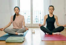 “Beginner’s guide to mental wellness and productivity”