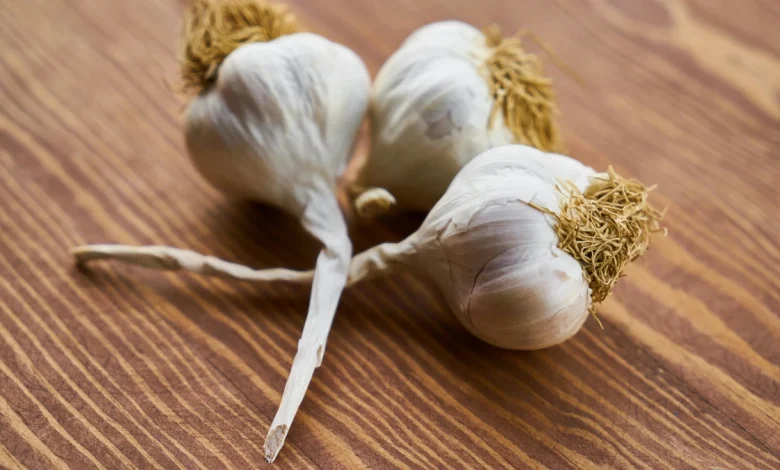Fresh garlic cloves and bulbs on a wooden table