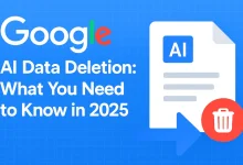 Google AI data deletion illustration