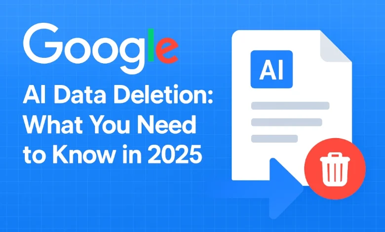 Google AI data deletion illustration