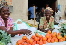 Biashara za mtaji mdogo zenye faida kubwa