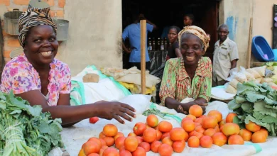 Biashara za mtaji mdogo zenye faida kubwa