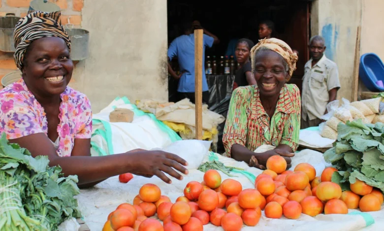 Biashara za mtaji mdogo zenye faida kubwa
